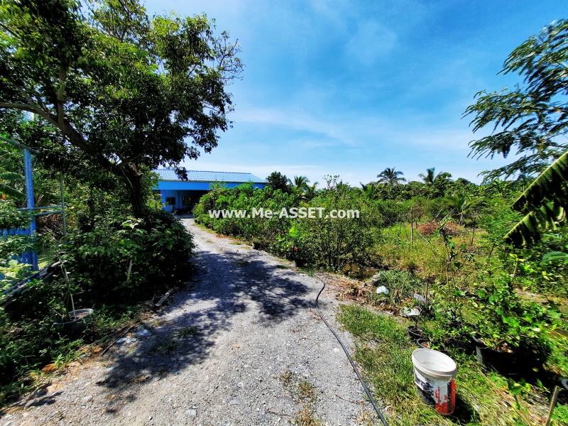 ขายที่ดินเกษตร สวนผสม ถ.บ้านวังนกไข่ ต.หนองนกไข่ อ.กระทุ่มแบน สมุทรสาคร / พื้นที่ 9-1-53 ไร่