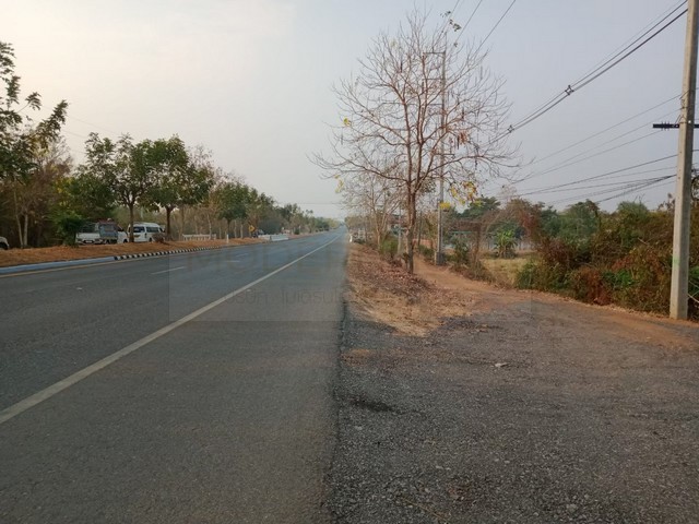 ขายที่ดิน 91-2-63 ไร่ ตำบลนาเฉลียง อำเภอหนองไผ่ เพชรบูรณ์