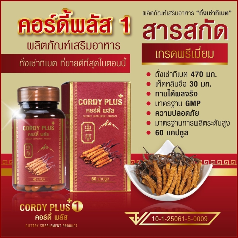คอร์ดี้ พลัสวัน (Cordy Plus1) ถั่งเช่าทิเบตแท้100% สารสกัดเกรดพรีเมี่ยม ผลิตภัณฑ์เสริมอาหาร บำรุงร่างกาย (60 แคปซูล)