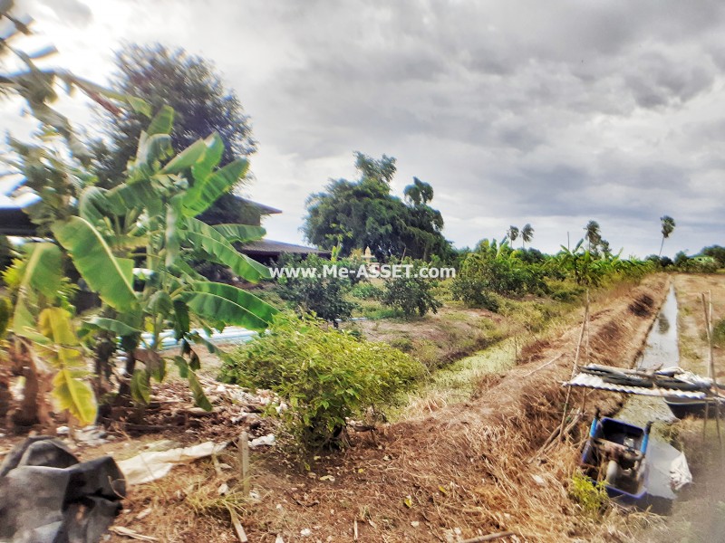 ขายที่ดิน สวนส้มโอ ถ.เลียบคลองบางกระบ้า ต.ลานตากฟ้า อ.นครชัยศรี นครปฐม / พื้นที่ 1-2-90 ไร่