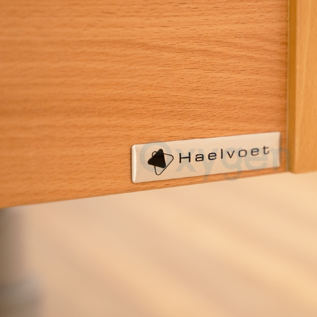 เตียงผู้ป่วยสูงอายุไฟฟ้า ดีไซน์แบบไม้ 7 ฟังก์ชั่น ยี่ห้อ HAELVOET รุ่น Lago Care รับประกันศูนย์ไทย 6 ปี