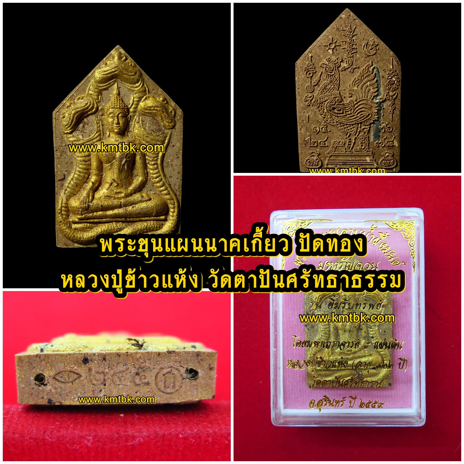 พระขุนแผนนาคเกี้ยว หลวงปู่ข้าวแห้ง วัดตาปันศรัทธาธรรม จ.สุรินทร์ (ศิษย์หลวงปู่สรวง เทวดาเล่นดิน) พิมพ์กรรมการปัดทอง ตะกรุด 3ดอก เนื้อผง ขนาดห้อยคอ ปี2559