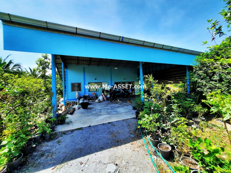 ขายที่ดินเกษตร สวนผสม ถ.บ้านวังนกไข่ ต.หนองนกไข่ อ.กระทุ่มแบน สมุทรสาคร / พื้นที่ 9-1-53 ไร่