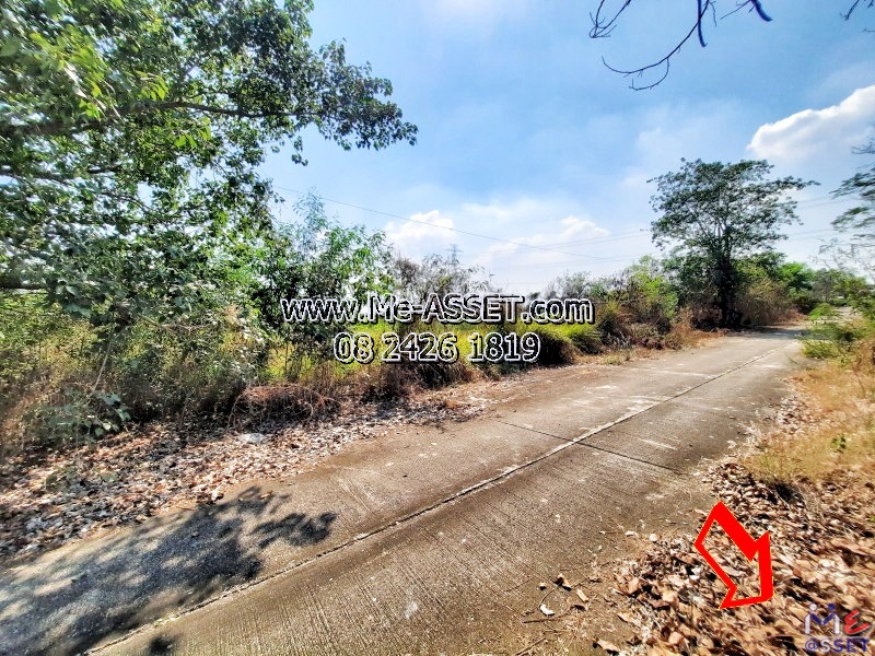 ขายที่ดินเปล่า ย่าน คลอง13 หนองงูเหลือม หนองสามวัง หนองเสือ ปทุมธานี : ใกล้ไพลินพันธุ์ไม้ ซ.อู่ช่างลี : 150 ตร.วา