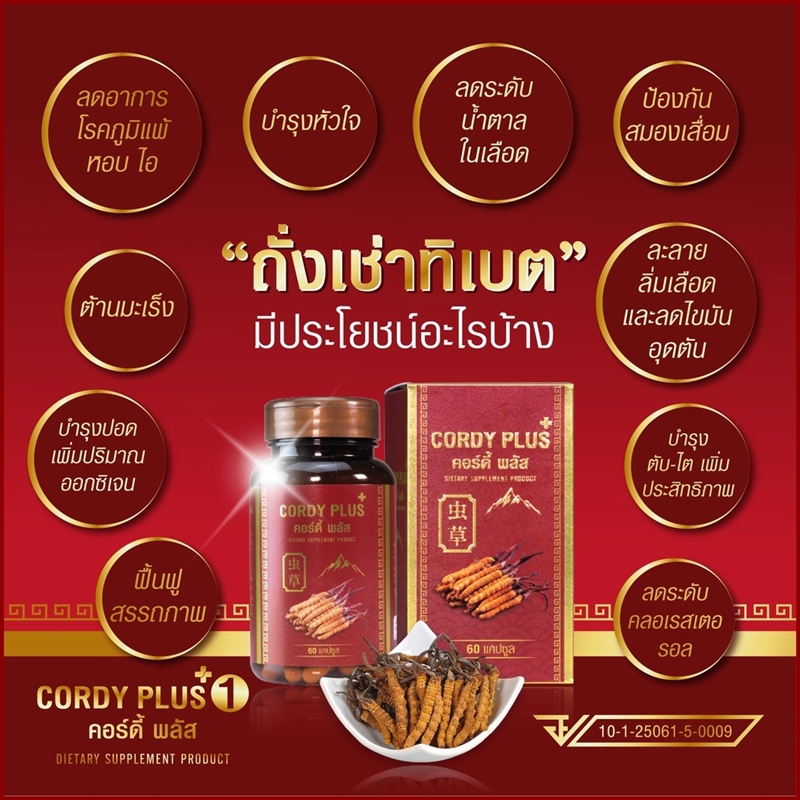 คอร์ดี้ พลัสวัน (Cordy Plus1) ถั่งเช่าทิเบตแท้100% สารสกัดเกรดพรีเมี่ยม ผลิตภัณฑ์เสริมอาหาร บำรุงร่างกาย (60 แคปซูล)