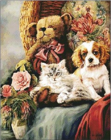 Cat & Dog (ไม่พิมพ์ลาย)