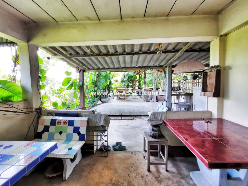 ขายบ้านเดี่ยว ถ.บางบัวทอง-สุพรรณ ต.ระแหง อ.ลาดหลุมแก้ว ปทุมธานี / พื้นที่ 2 ชั้น 200 ตารางวา