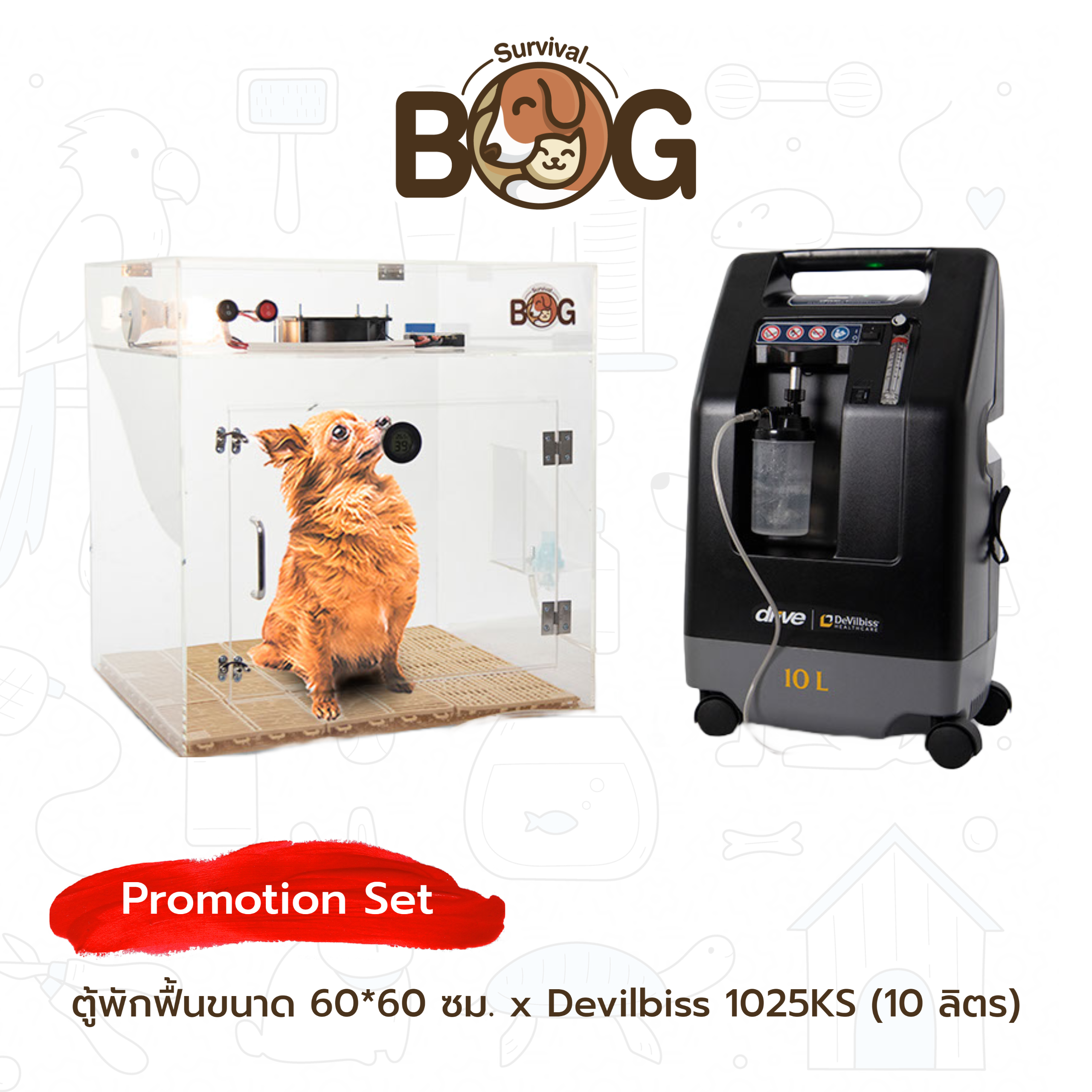 ตู้พักฟื้นสัตว์ขนาด 60*60 ซม. จับคู่กับเครื่องผลิตออกซิเจนขนาด 10 ลิตรแรงดันสูง 20 psi Devilbiss 1025KS