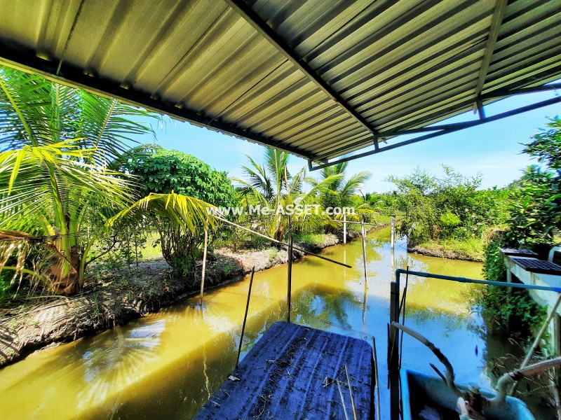 ขายที่ดินเกษตร สวนผสม ถ.บ้านวังนกไข่ ต.หนองนกไข่ อ.กระทุ่มแบน สมุทรสาคร / พื้นที่ 9-1-53 ไร่