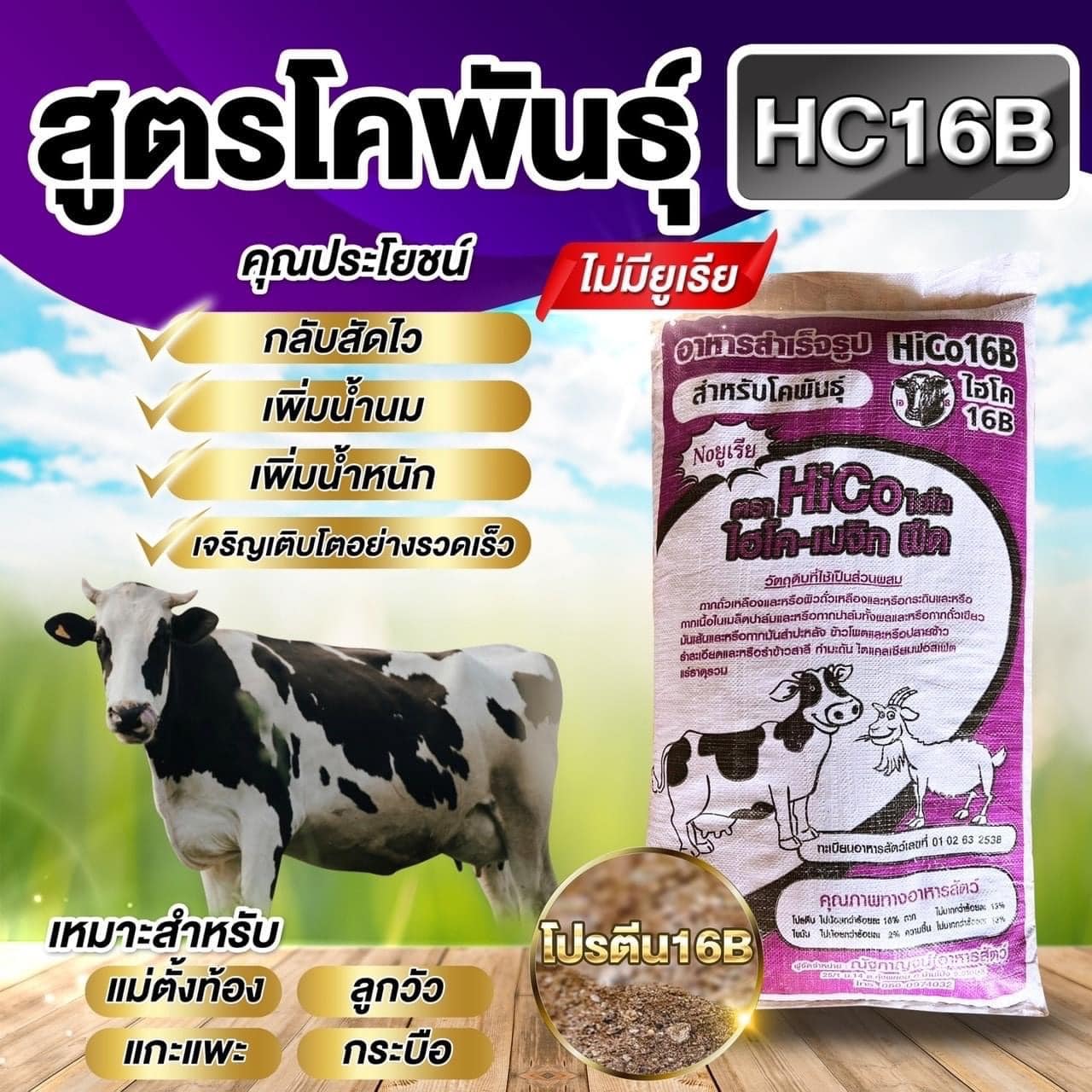 อาหารวัวสูตรโคพันธุ์ HC16B