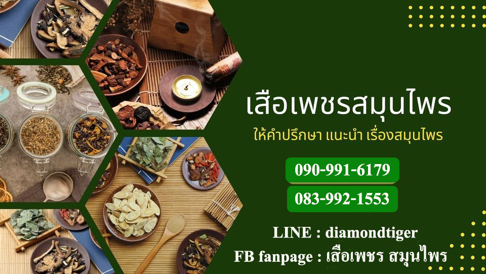 เสือเพชรสมุนไพร