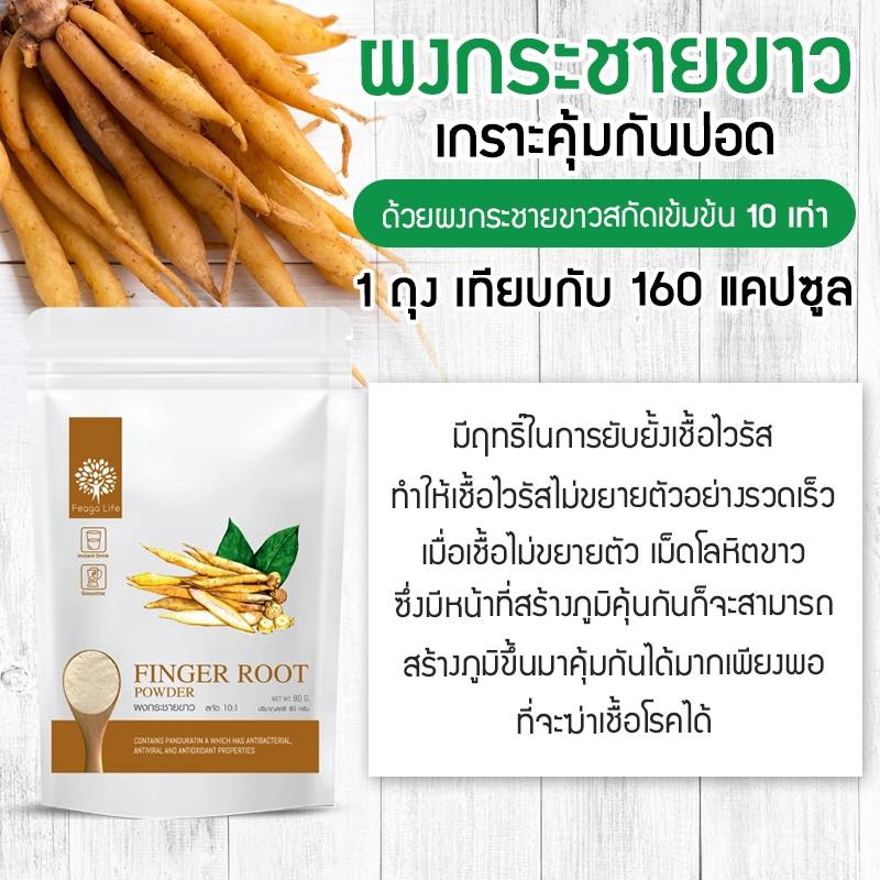ผงกระชายขาว สารสกัดกระชายขาวเข้มข้น 10 เท่า ต้านโควิด ยี่ห้อ Feaga Life ฟีก้าไลฟ์ 80 กรัม