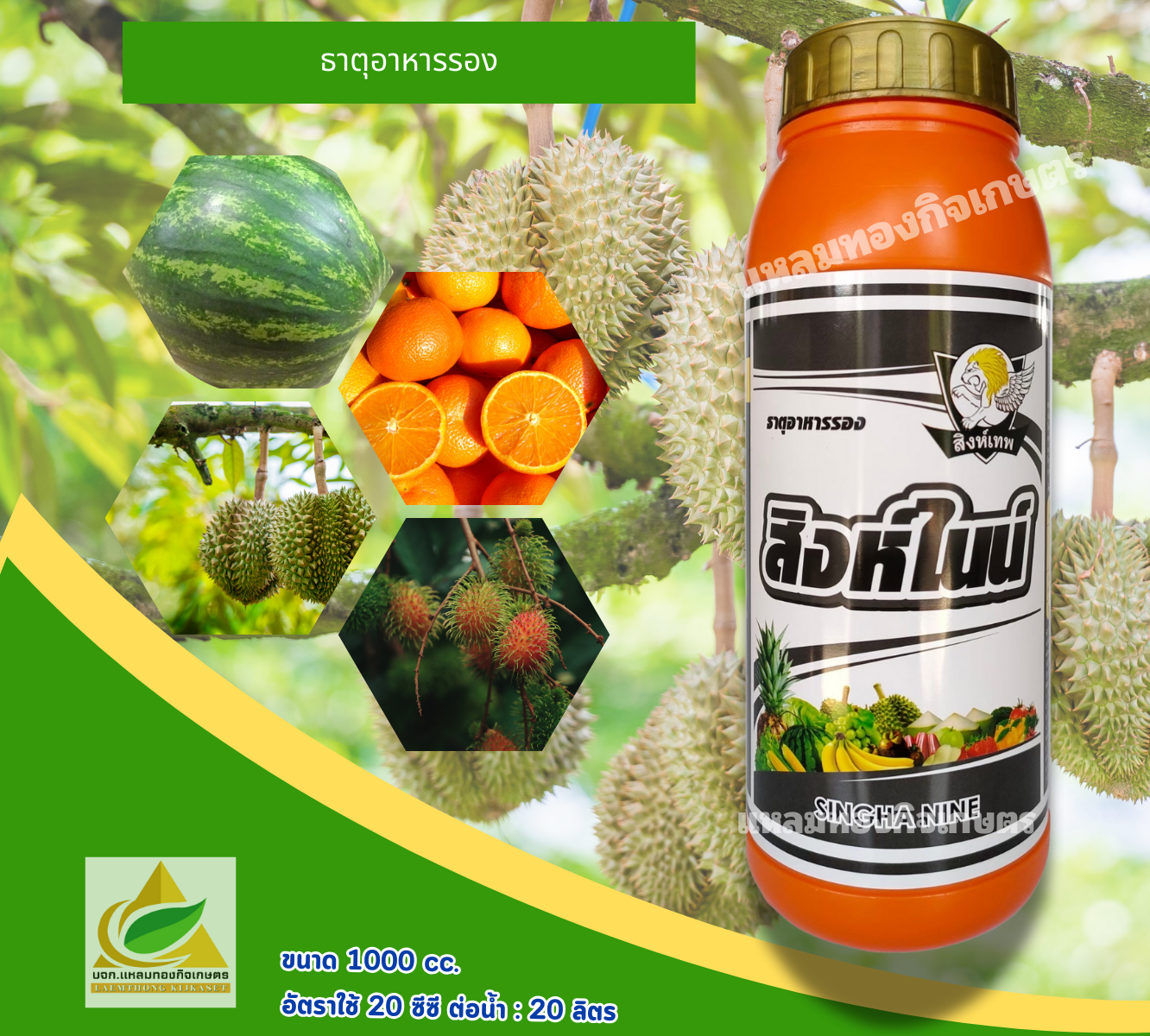 สิงห์ไนน์ ฮอร์โมนพืช ตราสิงห์เทพ ลิตร