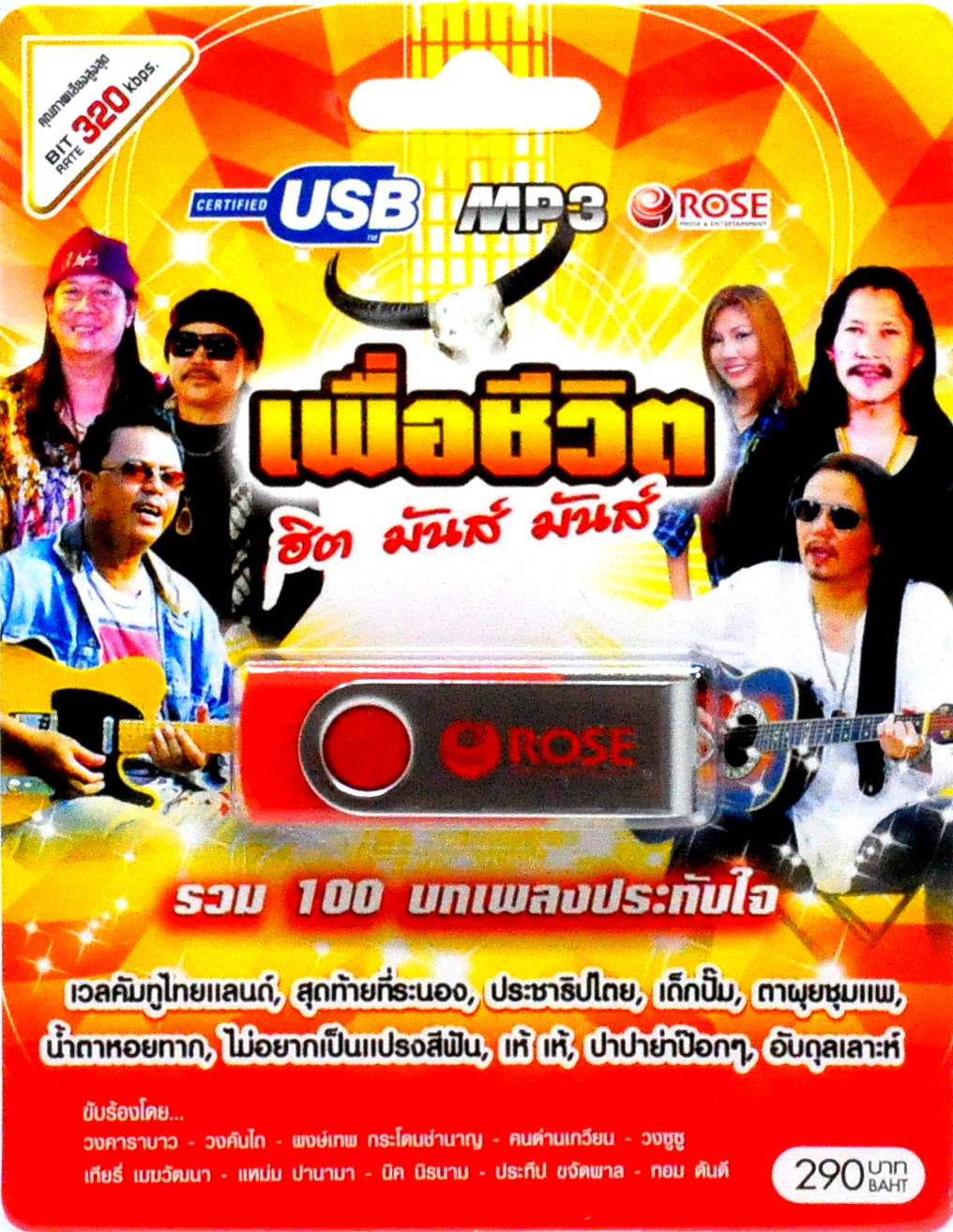 mp3 เพื่อ ชีวิต ฮิต มันส์ มันส์❗❗ รวม 100บทเพลงประทับใจ USB Flash Drive