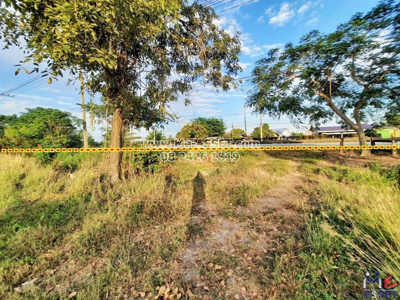 ขายที่ดินเกษตร ย่าน ไร่รถ หนองนา จิกรากข่า หนองแจง ดอนเจดีย์ อำเภอเมือง สุพรรณบุรี : ใกล้ อบต.ไร่รถ : 13 ไร่