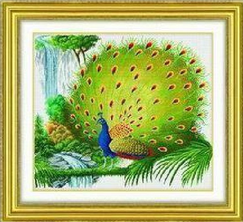 Green Peacock (ไม่พิมพ์/พิมพ์ลาย)