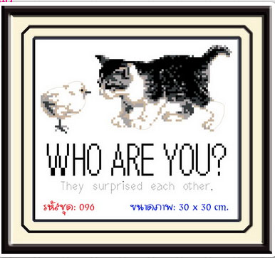 WHO ARE YOU?