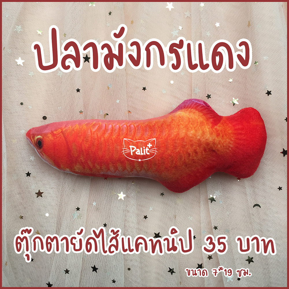 ปลามังกรแดงแคทนิป