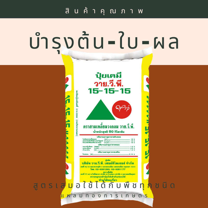 15-15-15 YVPตราสามเหลี่ยมวงกลม