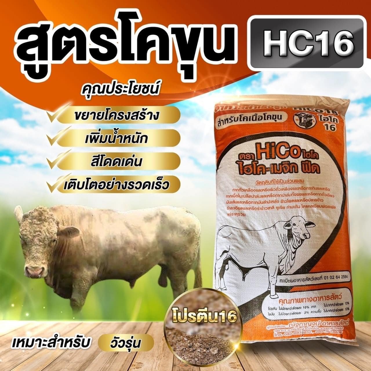 อาหารวัวสูตรโคขุน HC16