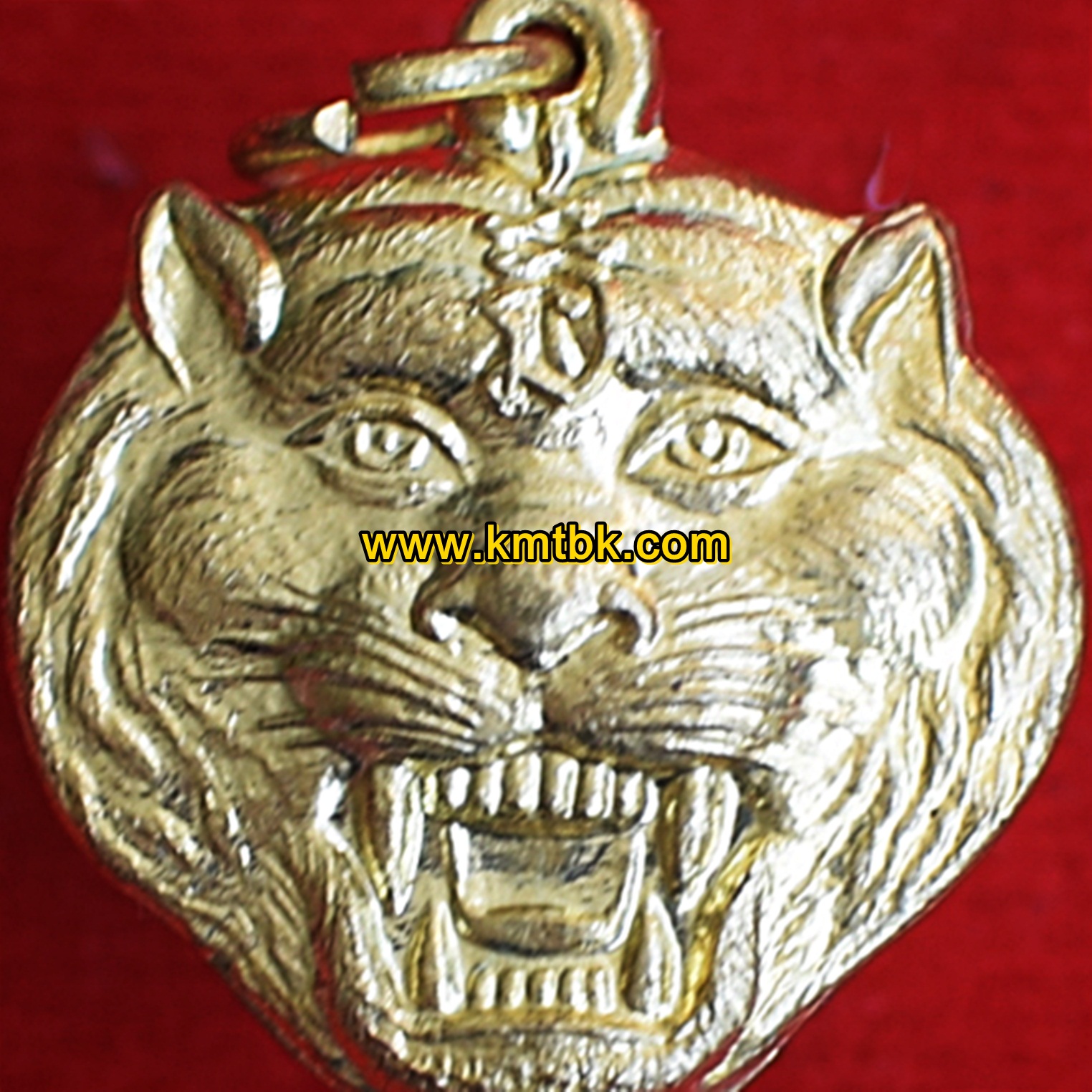 เหรียญหน้าเสือ มหาอำนาจ วัดบางพระ (หลวงพ่อเปิ่น) จ.นครปฐม ปี2553 ของแท้จากวัด
