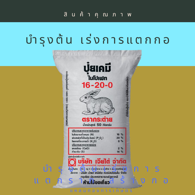 16-20-0 กระต่าย