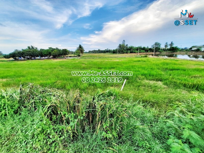 ขายที่ดินเปล่า ย่าน ลานตากฟ้า มหาสวัสดิ์ งิ้วราย : ใกล้ ม.พฤกษา 8 : 377 ตารางวา