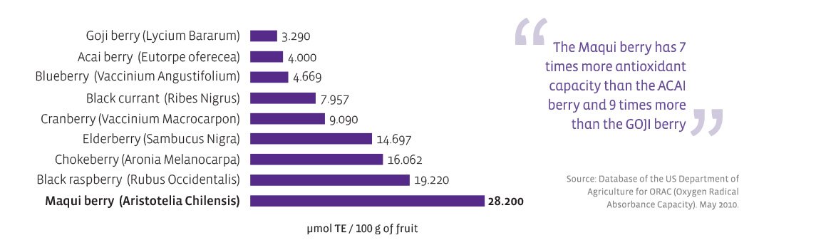 ผงมากิเบอร์รี่ สกัด Freeze Dry ยี่ห้อ Feaga Life 80 กรัม Maqui Berry Powder (ผงผัก ซุปเปอร์ฟู้ด) Superfood Powder