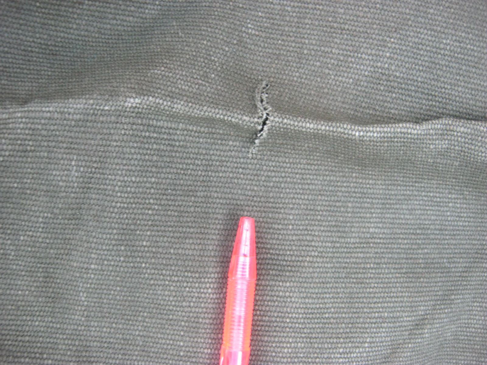 ถุงทะเลยุโรป