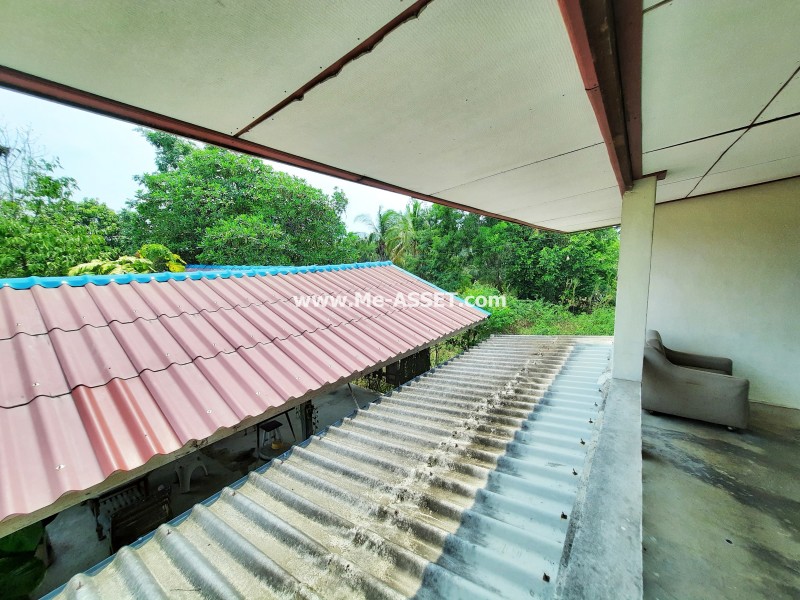 ขายบ้านเดี่ยว ถ.บางบัวทอง-สุพรรณ ต.ระแหง อ.ลาดหลุมแก้ว ปทุมธานี / พื้นที่ 2 ชั้น 200 ตารางวา