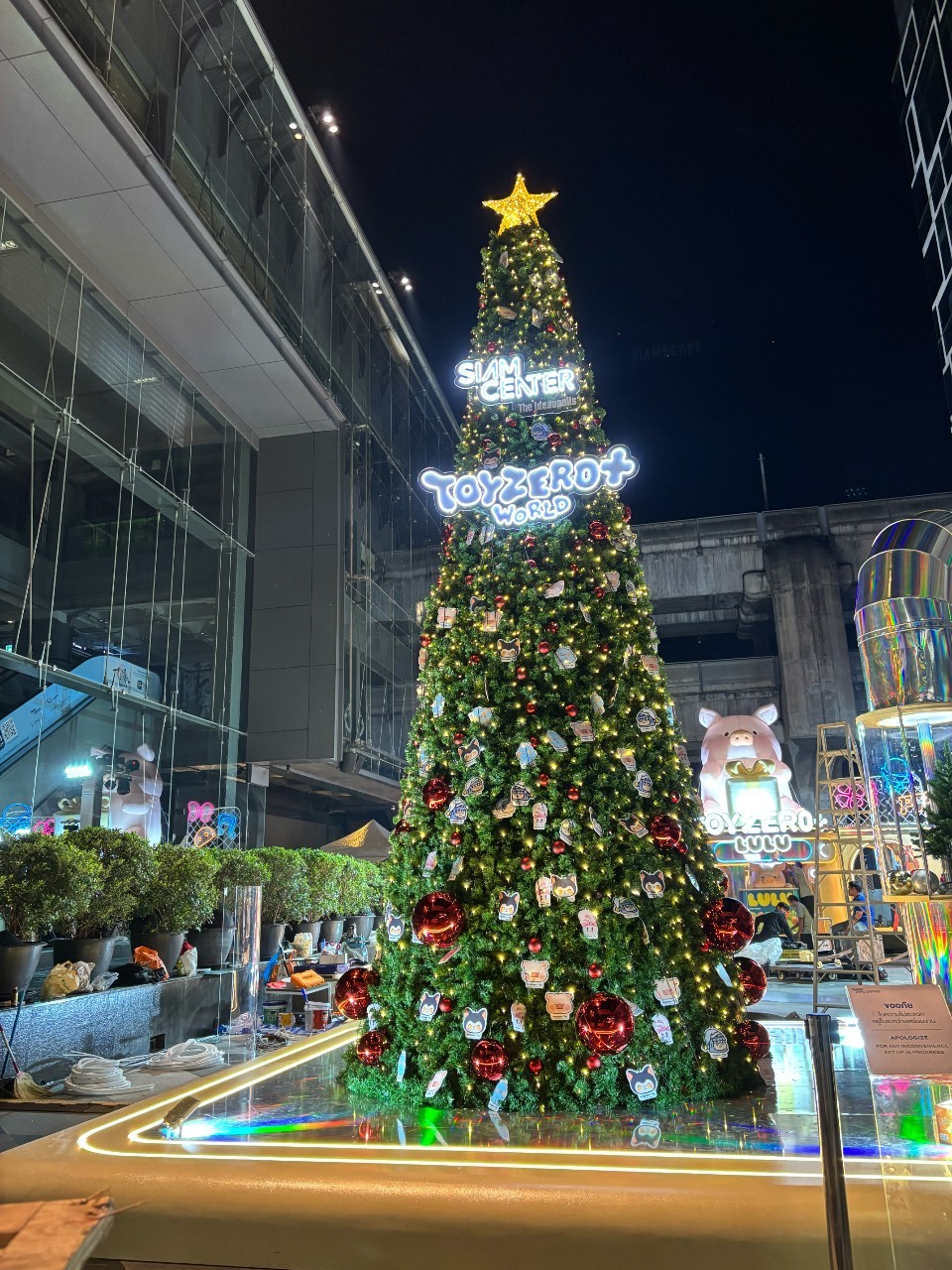 ตัวอย่างแบบเช่าต้นคริสต์มาสทรงกรวย ใบสนริจิด พุ่มใบหนาแน่น