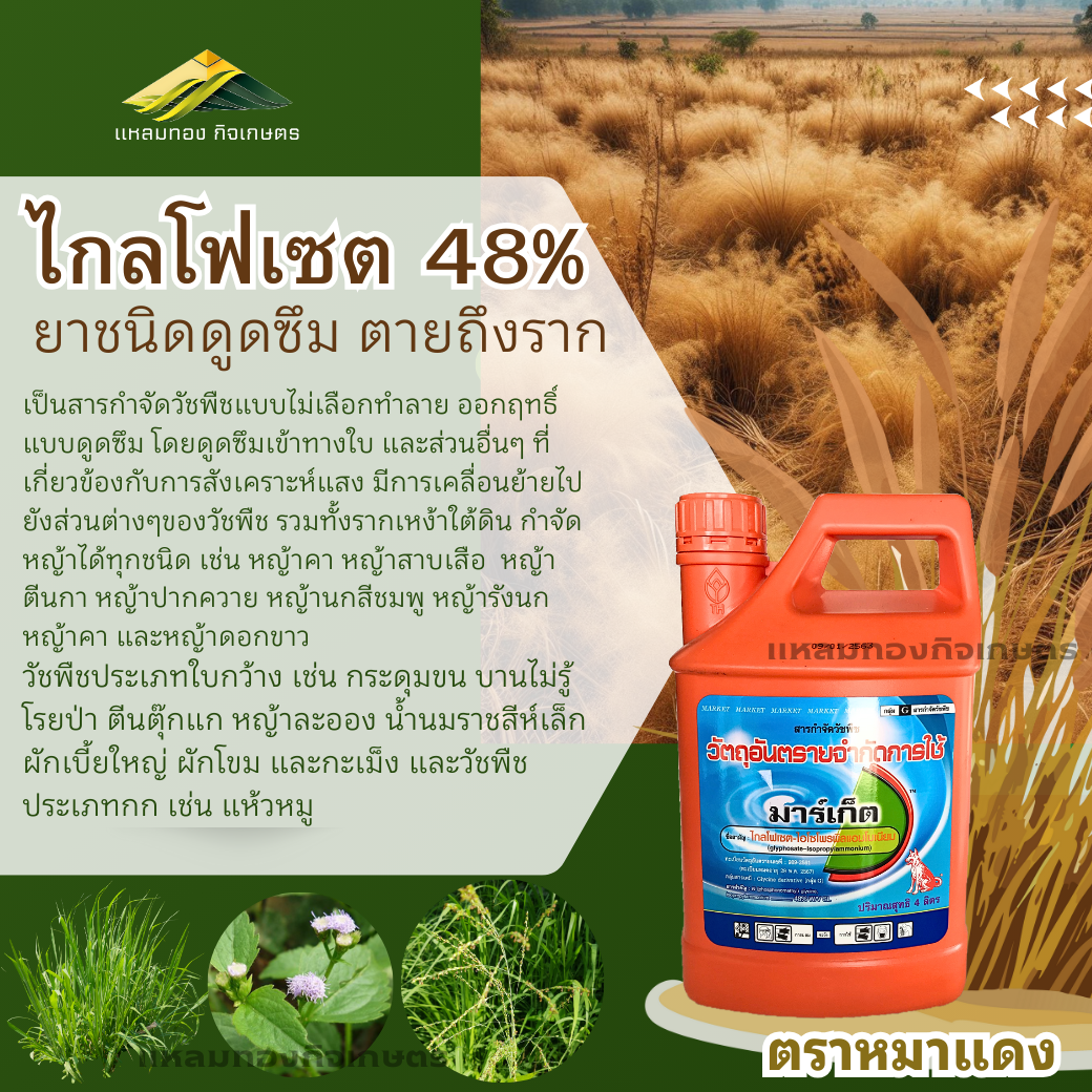 มาร์เก็ต ไกลโฟเซต ตราหมาแดง ขนาด 4 ลิตร