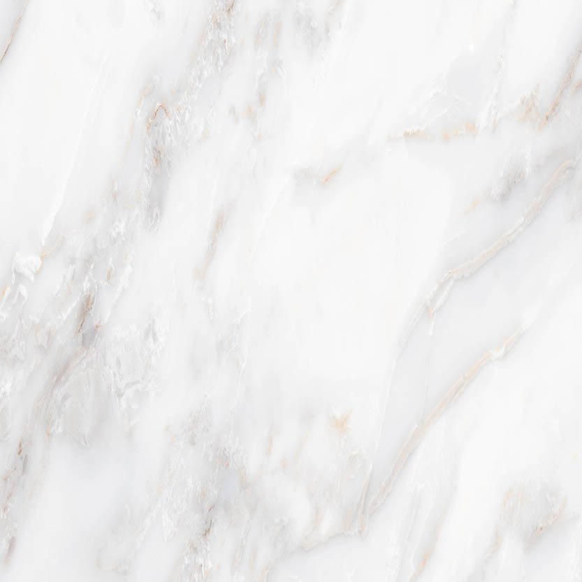 16"x16" นกในฝัน C กระเบื้อง