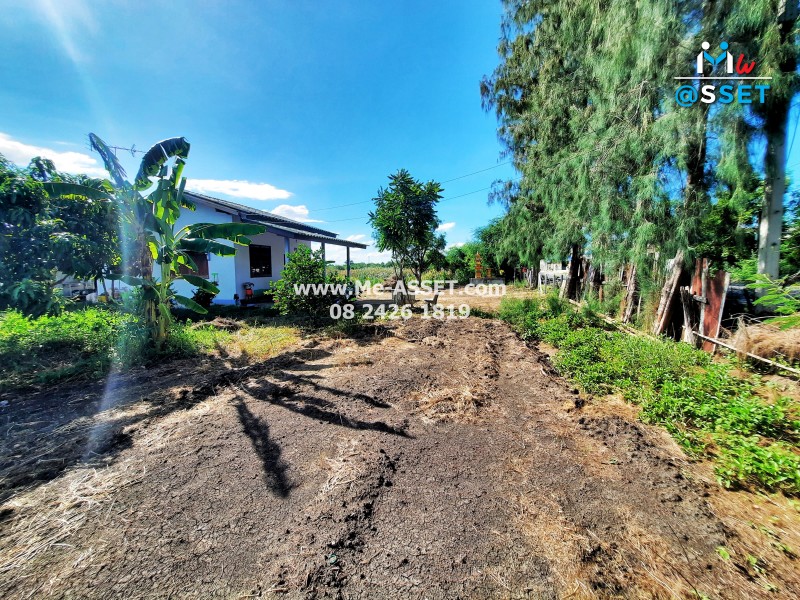 ขายที่ดินพร้อมสิ่งปลูกสร้าง ย่าน วังเย็น บางแขม อำเภอเมืองนคปฐม : ใกล้สนามกอล์ฟยูนิแลนด์ : 2-0-49.2 ไร่