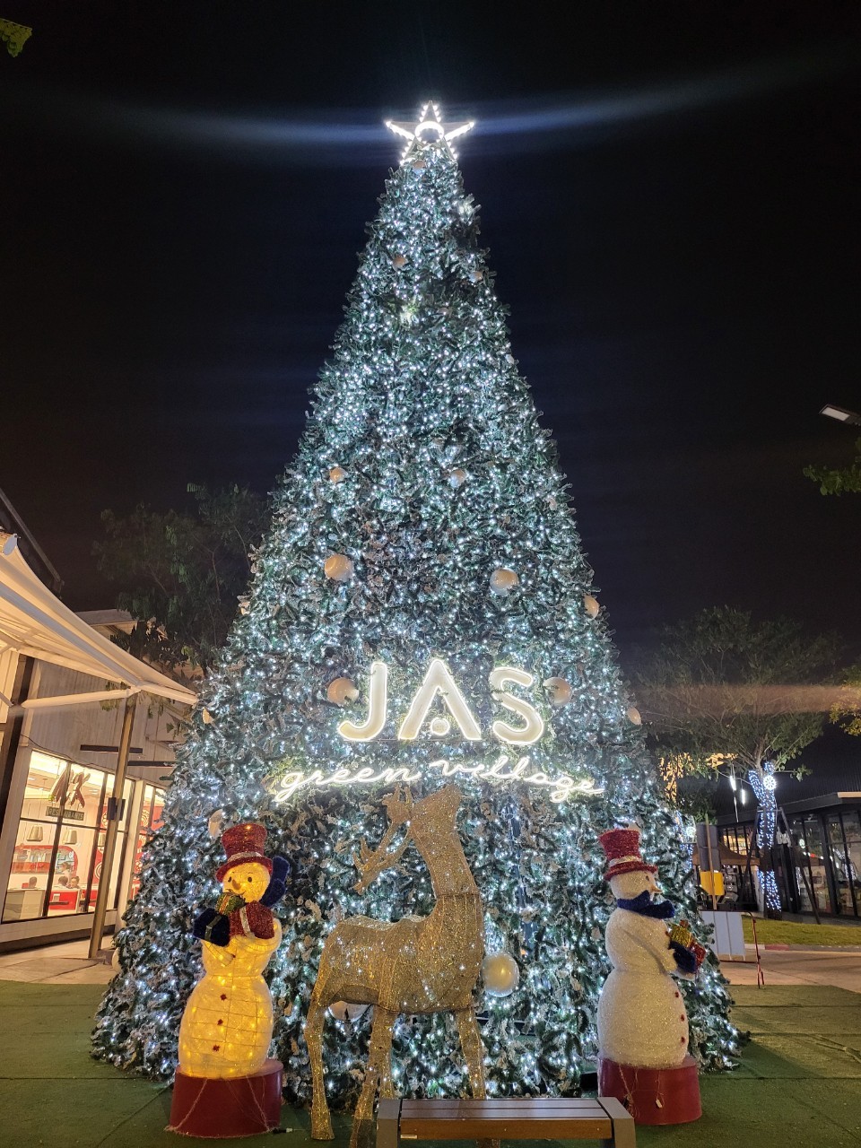 ต้นคริสต์มาสปลอมในจังหวัดเพชรบุรี