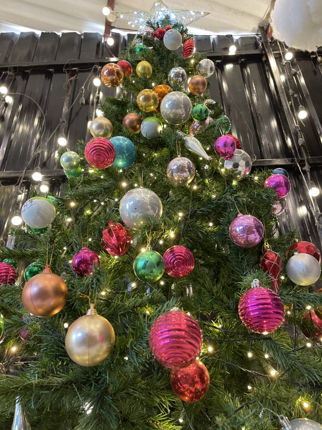 แบบต้นคริสต์มาสสวยๆ