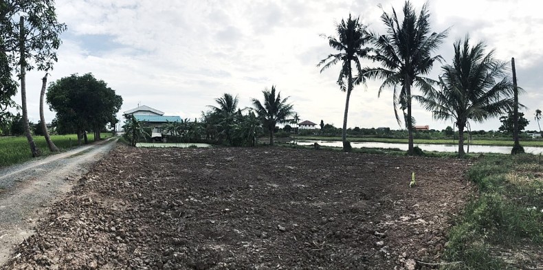 ขายที่ดินถมแล้ว ถ.บ้านกล้วย-ไทรน้อย ต.ไทรน้อย อ.ไทรน้อย นนทบุรี / พื้นที่ 100 ตารางวา