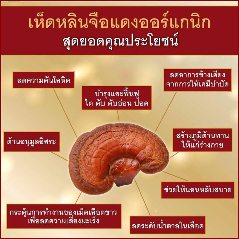 หลินจือซัน Lingzhi Sun (3 กล่อง180 แคปซูล) ผลิตภัณฑ์เสริมอาหาร บำรุงร่างกาย เห็ดหลินจือสกัด