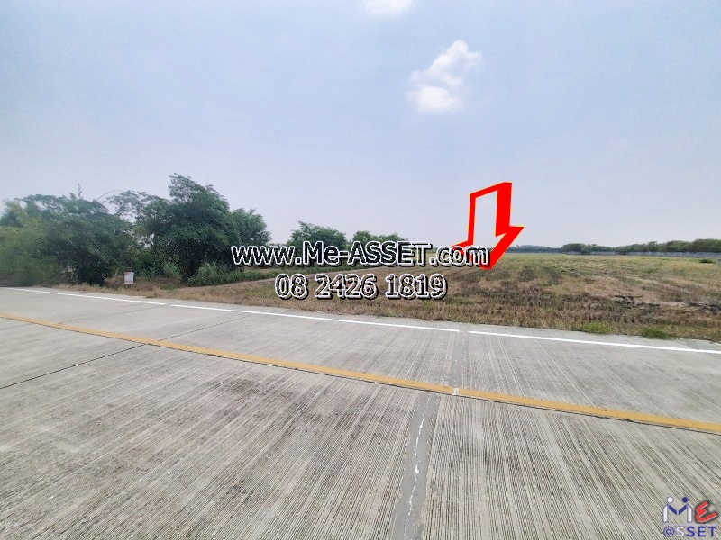 ขายที่ดินติดถนนคอนกรีต ย่าน อบต.ทวีวัฒนา ไทรน้อย บางกรวย บ้านกล้วย-ไทรน้อย นนทบุรี : ใกล้วัดคลองเจ้า : 2-1-42 ไร่