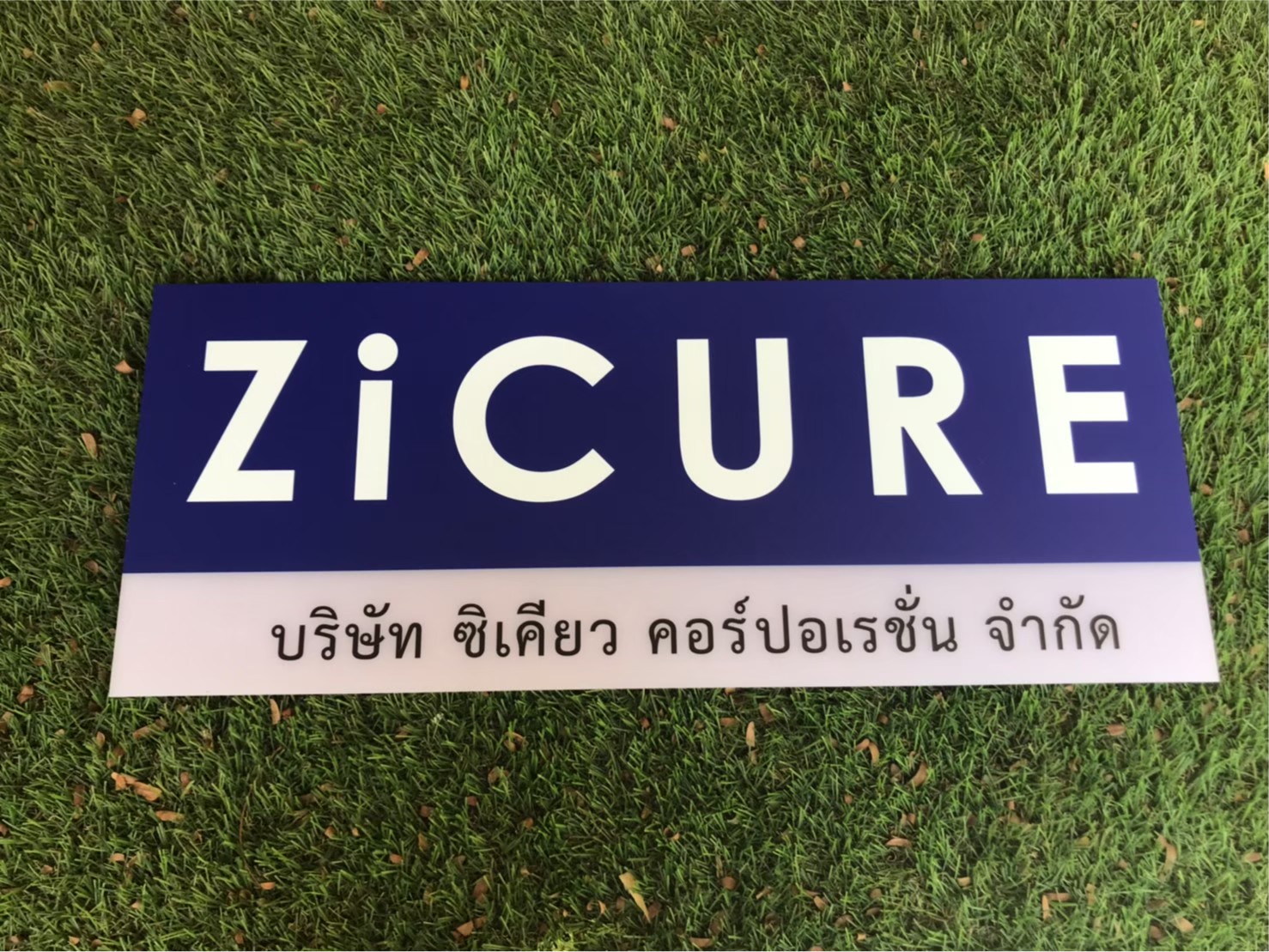 ป้ายสกีน