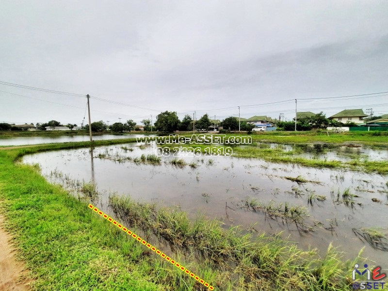 ขายที่ดินเปล่า ย่าน ลานตากฟ้า มหาสวัสดิ์ พุทธมณฑล งิ้วราย ดาวทอง : ใกล้ ม.พฤกษา 8 : เนื้อที่รวม 2 ไร่ แบ่งขายได้