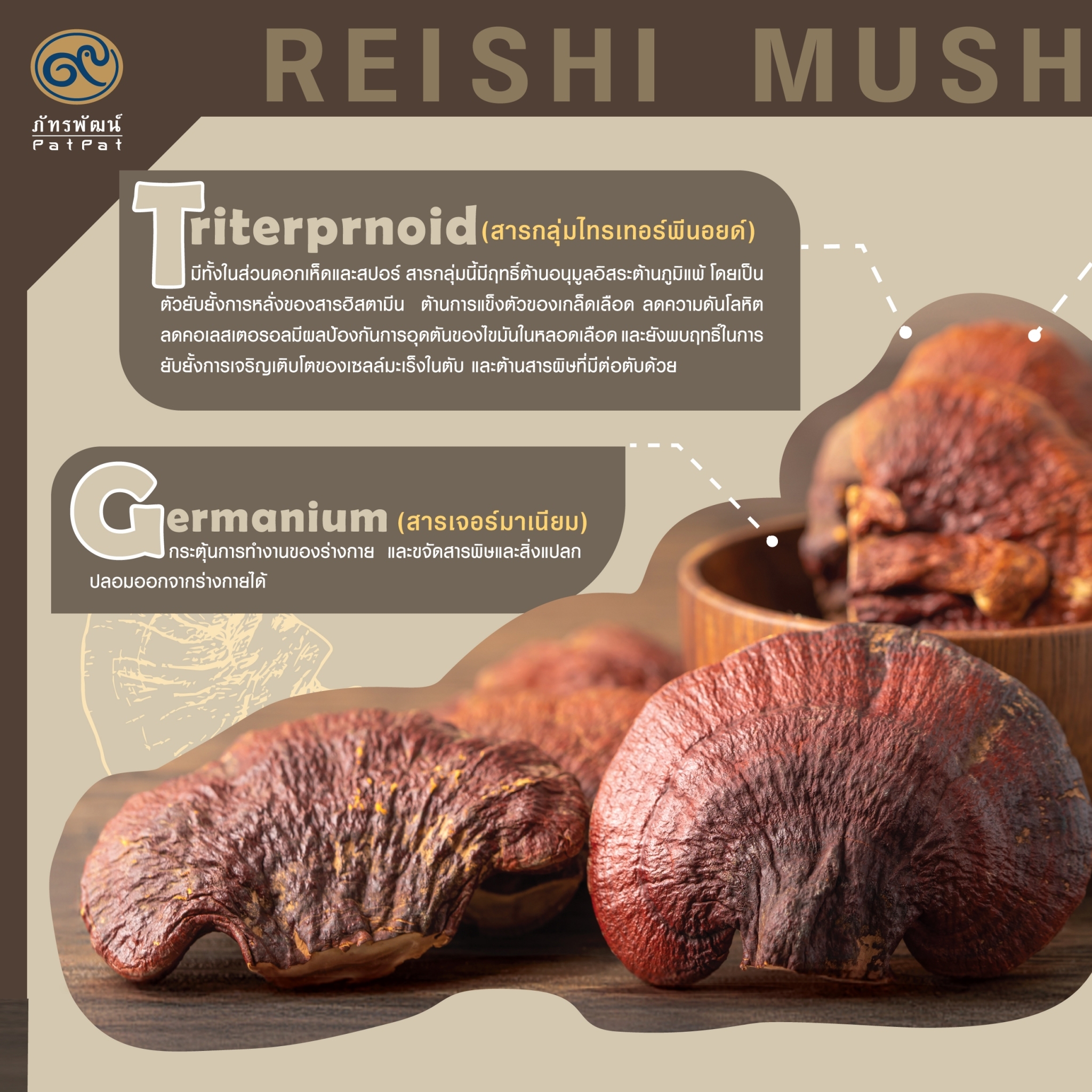 สปอร์เห็ดหลินจือ ภัทรพัฒน์