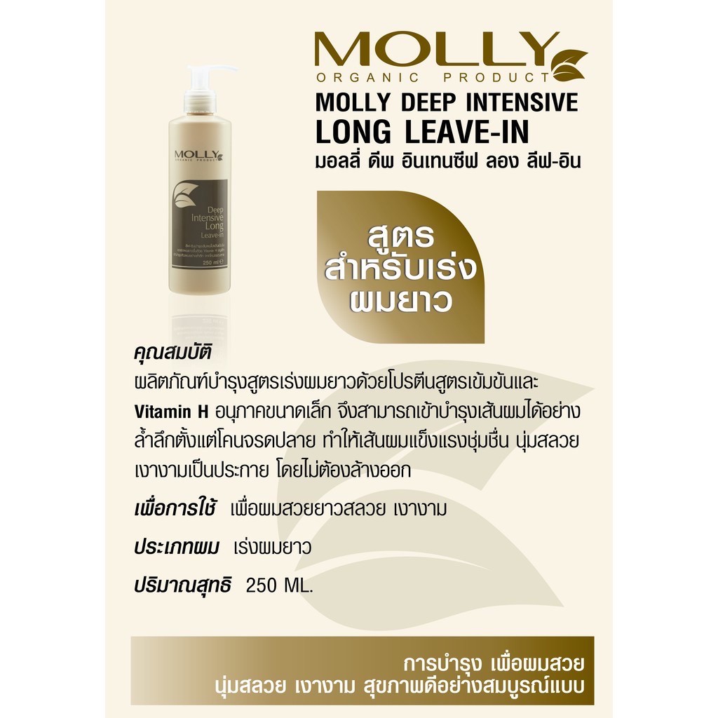 แท้พร้อมส่ง• MOLLY deep intensive leave-in มอลลี่ ดีฟอินเทนซีฟ ลีฟอิน