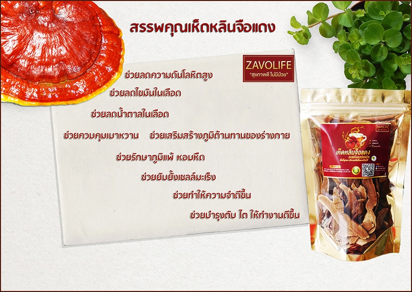 เห็ดหลินจือแดงอบแห้ง ออร์แกนิค(หั่นชิ้น) ช่วยบำรุงตับ ไต ให้ทำงานดีขึ้น(แพ็ค 5 ถุง)