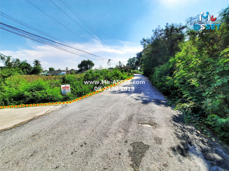 ขายที่ดินเปล่า ติดคลองบางแก้ว ย่าน พะเนียด ห้วยตะโก นครชัยศรี นครปฐม : 2-3-43 ไร่