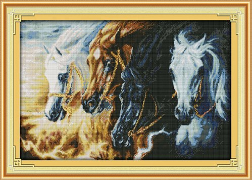 Horse gallop (ไม่พิมพ์/พิมพ์ลาย)
