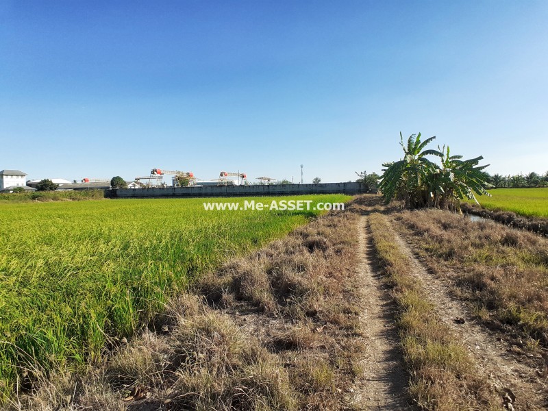 ขายที่ดินเปล่า ถ.พิชัยเขต ต.ศาลากลาง อ.บางกรวย นนทบุรี ใกล้ ม.มหิดล / พื้นที่ 5 ไร่