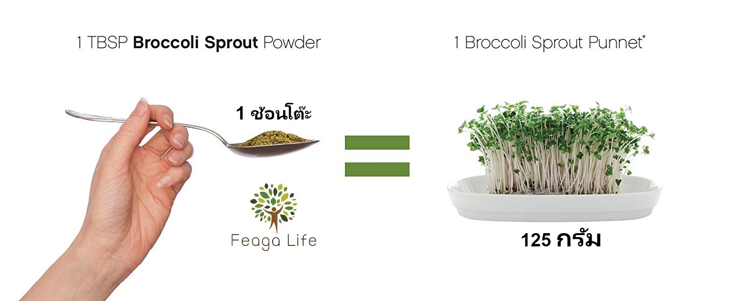 ผงต้นอ่อนบร็อคโคลี่ ผงผัก Organic Broccoli Sprout Powder ยี่ห้อ Feaga Life 200 กรัม ผง Superfood (ซุปเปอร์ฟู้ด) คุณภาพพรีเมี่ย