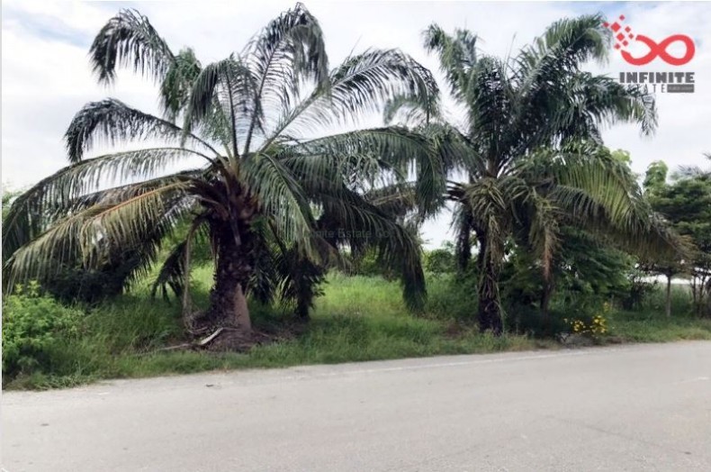 ขายที่ดินถมแล้ว สมพงษ์เรียลเอสเตท ถ.ศาลายา-บางภาษี ต.คลองโยง อ.พุทธมณฑล นครปฐม ใกล้ ม.พุทธมณฑลแลนด์ / พื้นที่ 99 ตารางวา