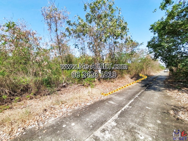 ขายที่ดินเปล่า ย่าน คลอง13 หนองงูเหลือม หนองสามวัง หนองเสือ ปทุมธานี : ใกล้ไพลินพันธุ์ไม้ ซ.อู่ช่างลี : 150 ตร.วา